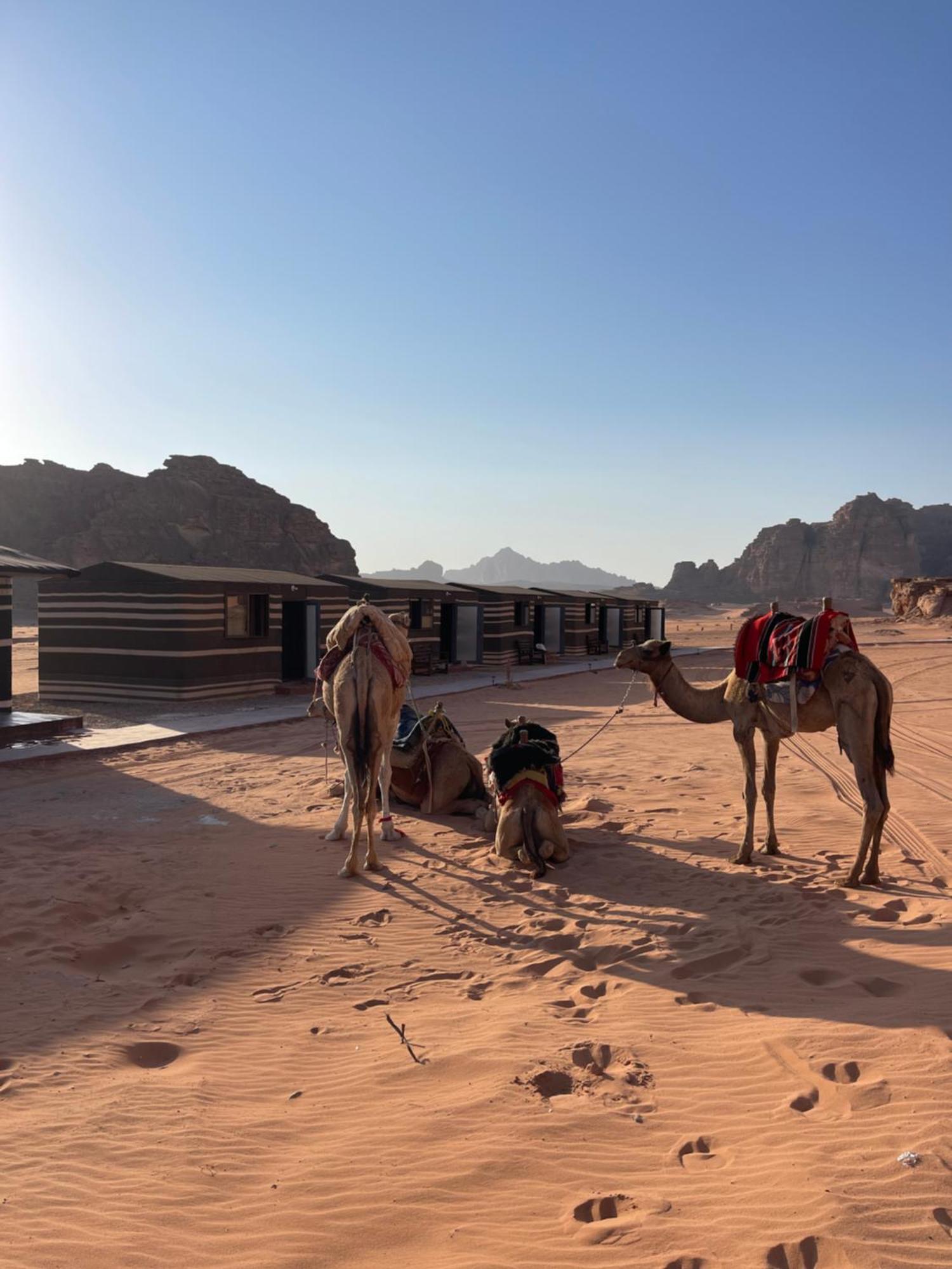 Wadi Rum Star Camp 외부 사진